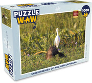 Puzzel 1000 stukjes volwassenen Capybara 1000 stukjes - Sneeuwreiger op rug van capibara  - PuzzleWow heeft +100000 puzzels