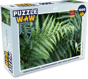 Puzzel 1000 stukjes volwassenen Adelaarsvaren 1000 stukjes - Verschillende vertakkingen van adelaarsvaren  - PuzzleWow heeft +100000 puzzels