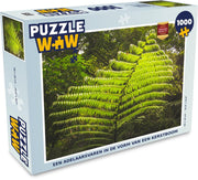 Puzzel Adelaarsvaren 1000 stukjes - Een adelaarsvaren in de vorm van een kerstboom