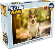 Puzzel 1000 stukjes volwassenen Corgi 1000 stukjes - Blije corgi op de namiddag  - PuzzleWow heeft +100000 puzzels