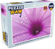 Puzzel 1000 stukjes volwassenen Planten met waterdruppels  1000 stukjes - Close-up waterdruppels op een paarse bloem puzzel 1000 stukjes  - PuzzleWow heeft +100000 puzzels