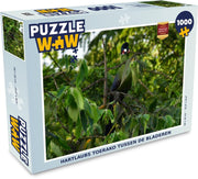 Puzzel 1000 stukjes volwassenen Hartlaub's Toerako 1000 stukjes - Hartlaubs toerako tussen de bladeren  - PuzzleWow heeft +100000 puzzels
