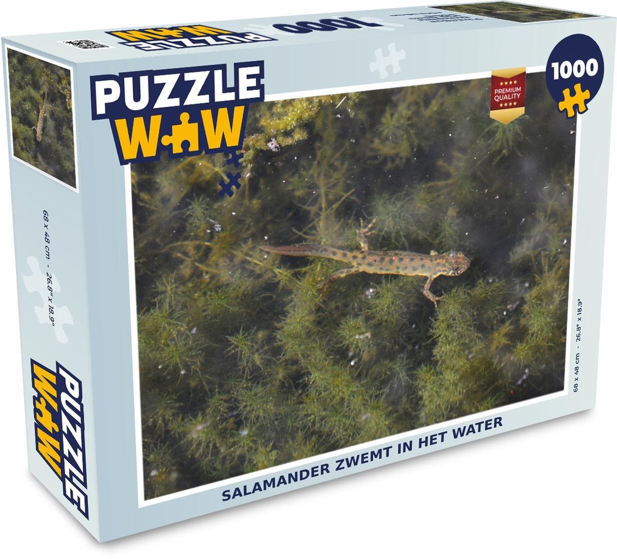 Puzzel 1000 stukjes volwassenen Salamander 1000 stukjes - Salamander zwemt in het water puzzel 1000 stukjes  - PuzzleWow heeft +100000 puzzels