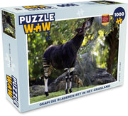 Puzzel 1000 stukjes volwassenen Okapi 1000 stukjes - Okapi die bladeren eet in het grasland  - PuzzleWow heeft +100000 puzzels