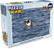 Puzzel 1000 stukjes volwassenen Brilduiker 1000 stukjes - Een brilduiker komt uit de zee PuzzleWow heeft +100000 puzzels