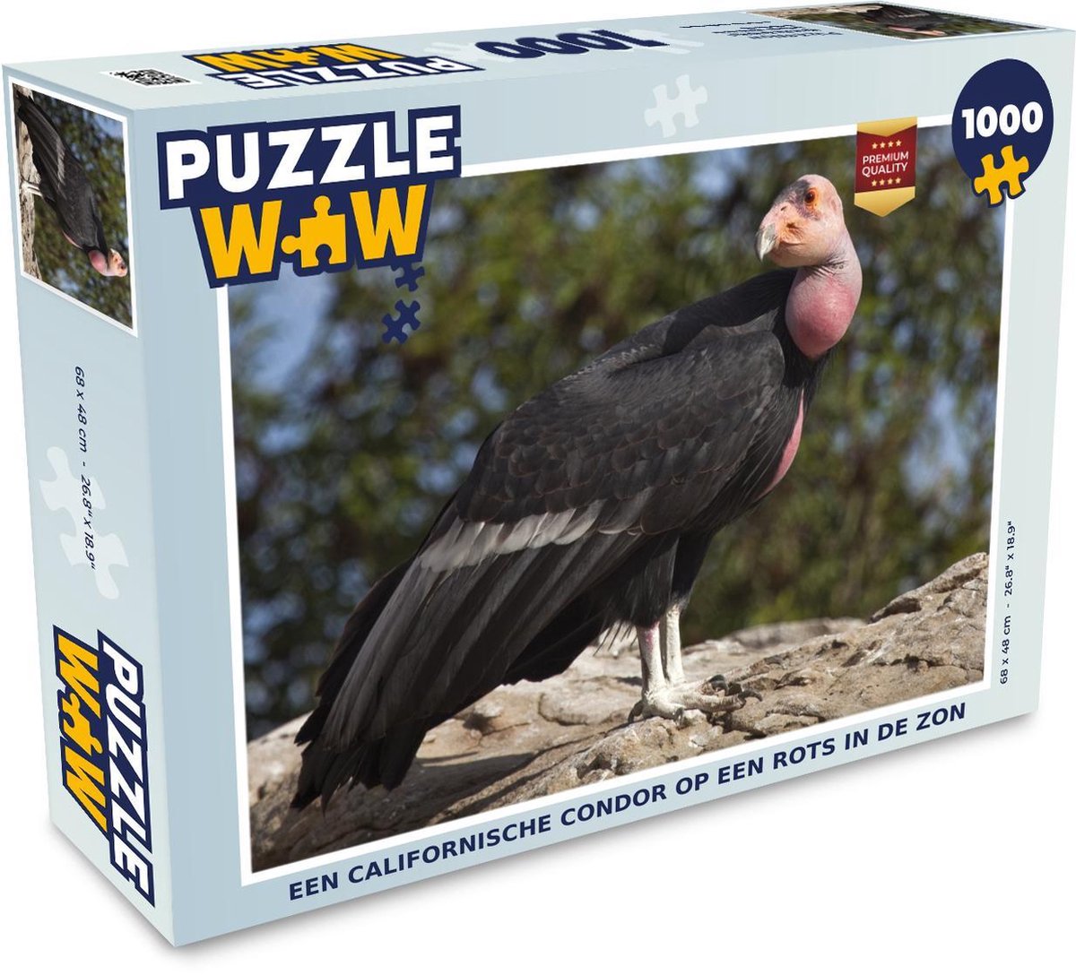 Puzzel 1000 stukjes volwassenen Californische condor 1000 stukjes - Een Californische condor op een rots in de zon  - PuzzleWow heeft +100000 puzzels