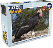 Puzzel 1000 stukjes volwassenen Californische condor 1000 stukjes - Een Californische condor op een rots in de zon  - PuzzleWow heeft +100000 puzzels