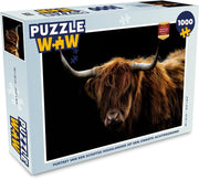 Puzzel 1000 stukjes volwassenen Schotse Hooglanders  1000 stukjes - Portret van een Schotse hooglander op een zwarte achtergrond  - PuzzleWow heeft +100000 puzzels
