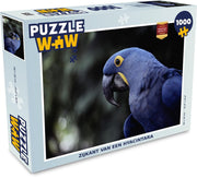 Puzzel 1000 stukjes volwassenen Hyacinthara 1000 stukjes - Zijkant van een hyacintara  - PuzzleWow heeft +100000 puzzels