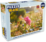 Puzzel 1000 stukjes volwassenen Rozen close-up 1000 stukjes - Close-up van een roos bij zonsondergang puzzel 1000 stukjes  - PuzzleWow heeft +100000 puzzels
