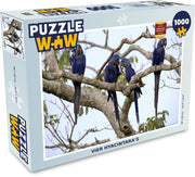 Puzzel 1000 stukjes volwassenen Hyacinthara 1000 stukjes - Vier hyacintara's  - PuzzleWow heeft +100000 puzzels