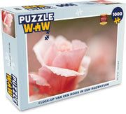 Puzzel 1000 stukjes volwassenen Rozen close-up 1000 stukjes - Close-up van een roos in een rozentuin puzzel 1000 stukjes  - PuzzleWow heeft +100000 puzzels