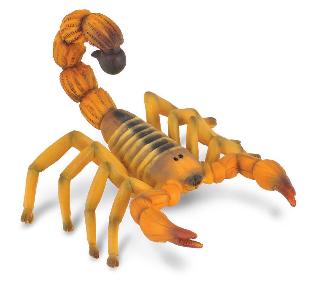 Collecta Insecten (M): SCHORPIOEN 7.4x6.5cm