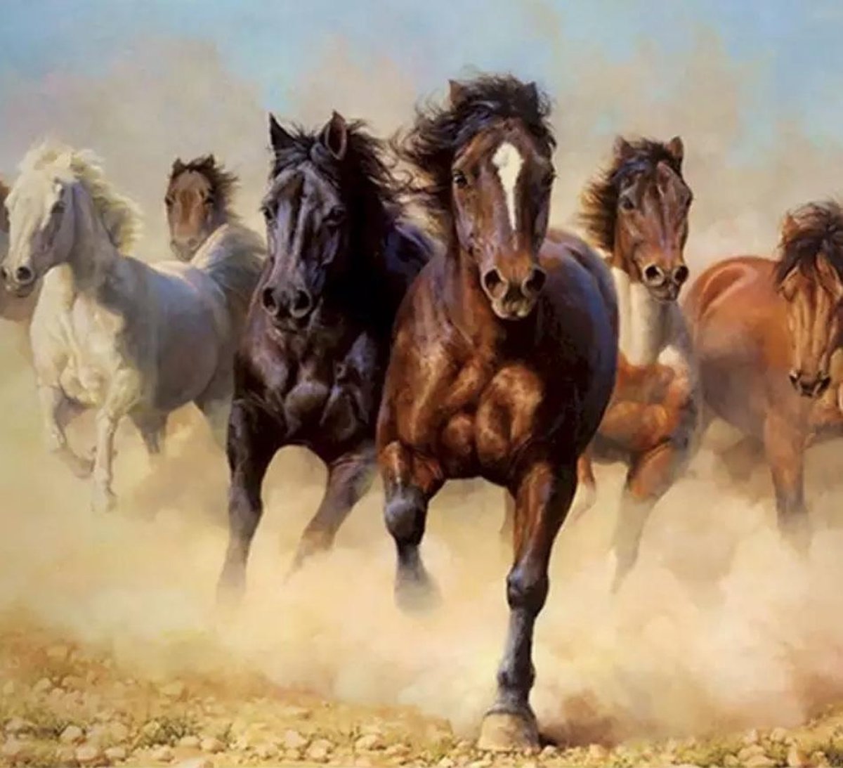 Schilderen Op Nummer - Volwassenen - Kinderen - Dieren - Paarden -  30 x 20 CM