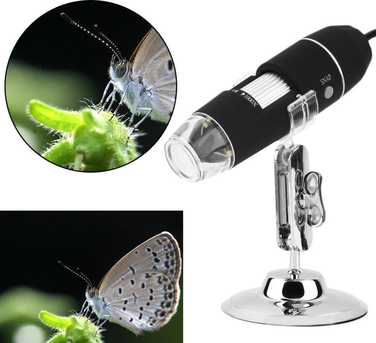 Digitale USB Microscoop Camera - Met LED Verlichting - 500 X Vergroting