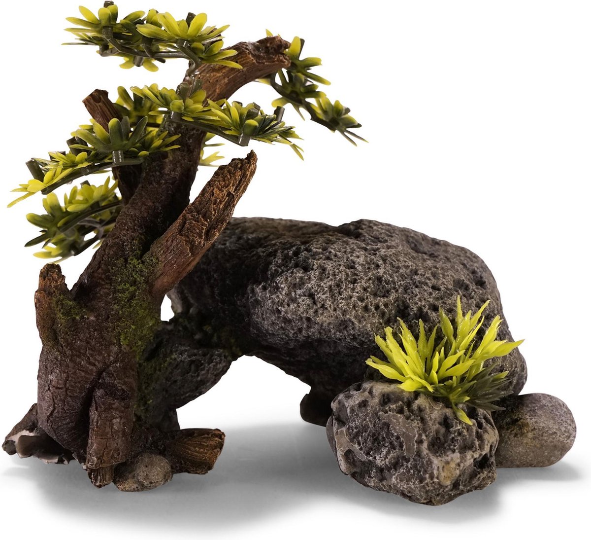 Aqua deco rots met bonsai 17x10