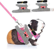 Dierplezier - Wandel tuigje knaagdier - Leiband knaagdier - Hamster wandelleiband  - Tuigje met klittenband - Tuigje wandelen rat - Harnas voor cavia - Gareel voor fret