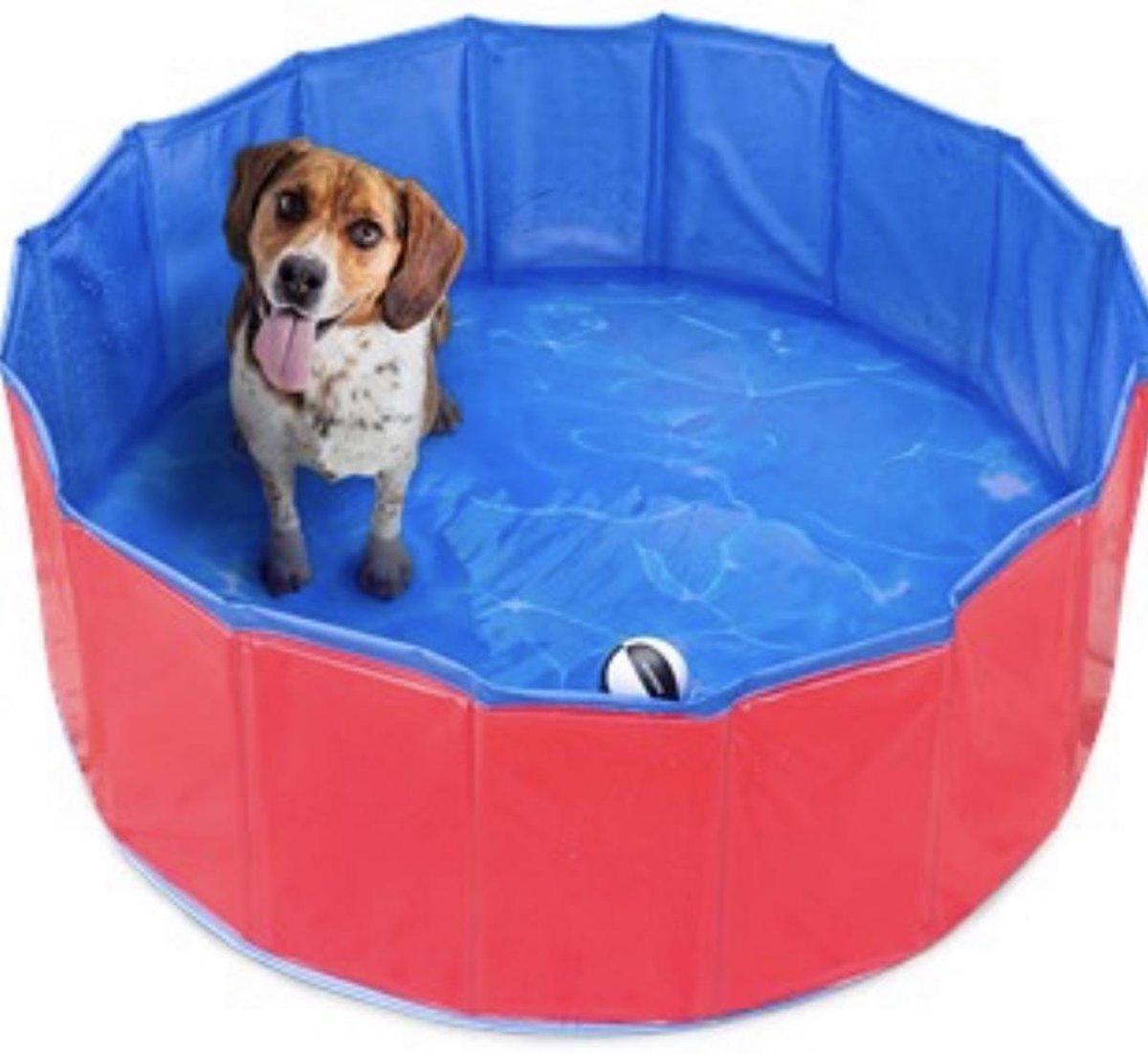 Hondenzwembad van Versteeg® - Rood - Honden Bad - Verkoeling Hond - Zwembad