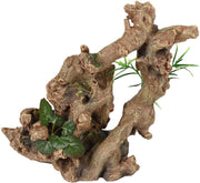 Aquarium decoratie Dio Wortels met Plant  - 24 x 19 x 25 cm