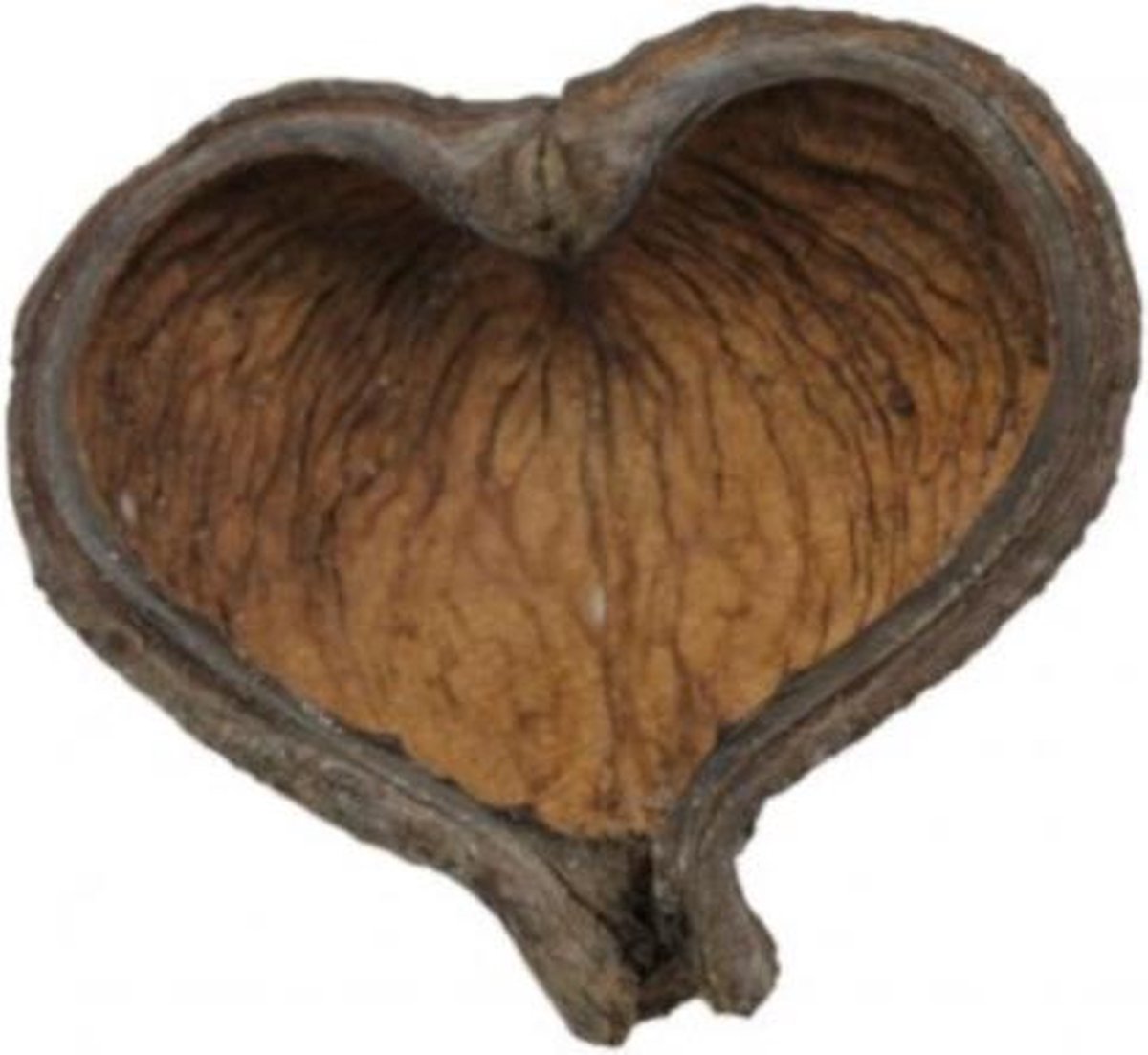 Ceramicnature Thelambu-peulen Plantaardig Hout Bruin