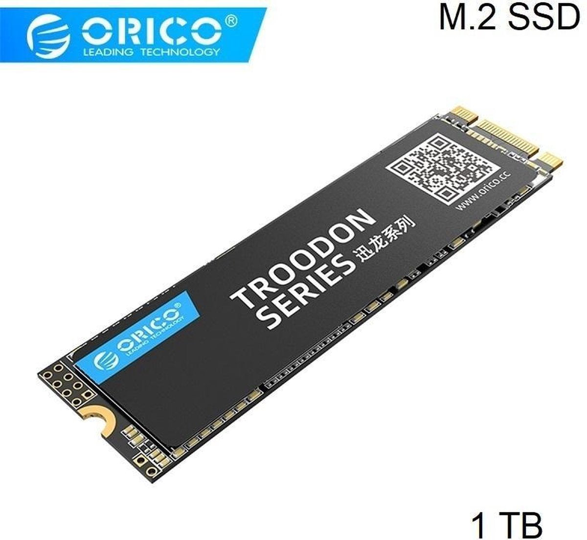 Orico M.2 interne SSD 2280 - 1TB - Troodon serie - 3D NAND flash - Zwart