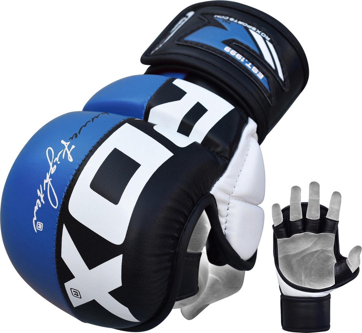 Sparringhandschoenen REX Blauw T6 - Maat: XL - Leer