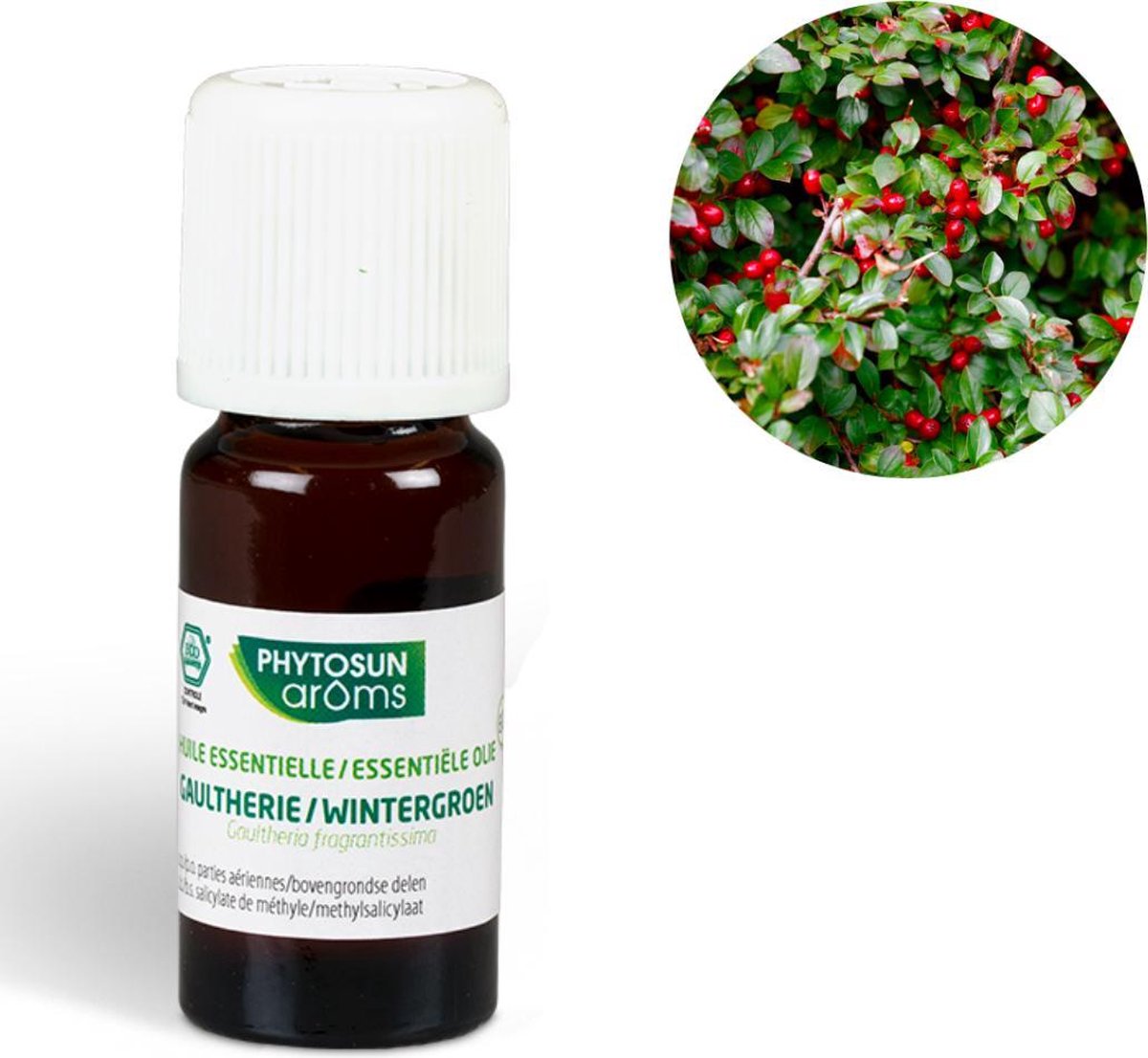 Phytosun Essentiële Olie Wintergroen Bio –  goed voor de spieren 10ml