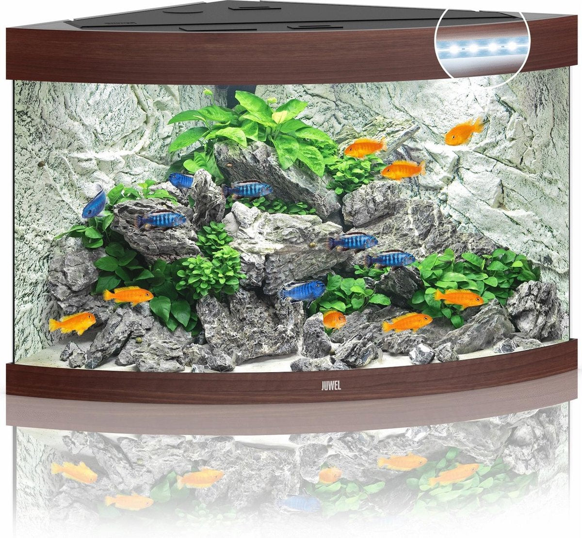 Juwel Aquarium Trigon 190 Led 70x70x60 cm - Aquaria - Donker Hout