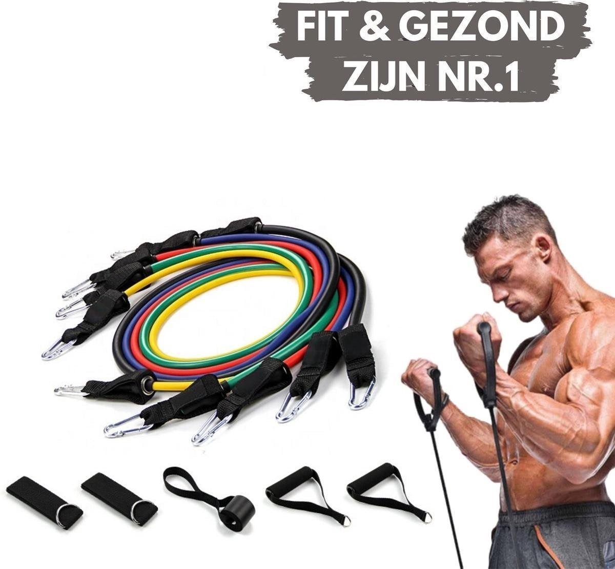 PRO VARIANT - Fitness elastiek set - Fitness elastiek met handvat - Weerstandsbanden fitness set