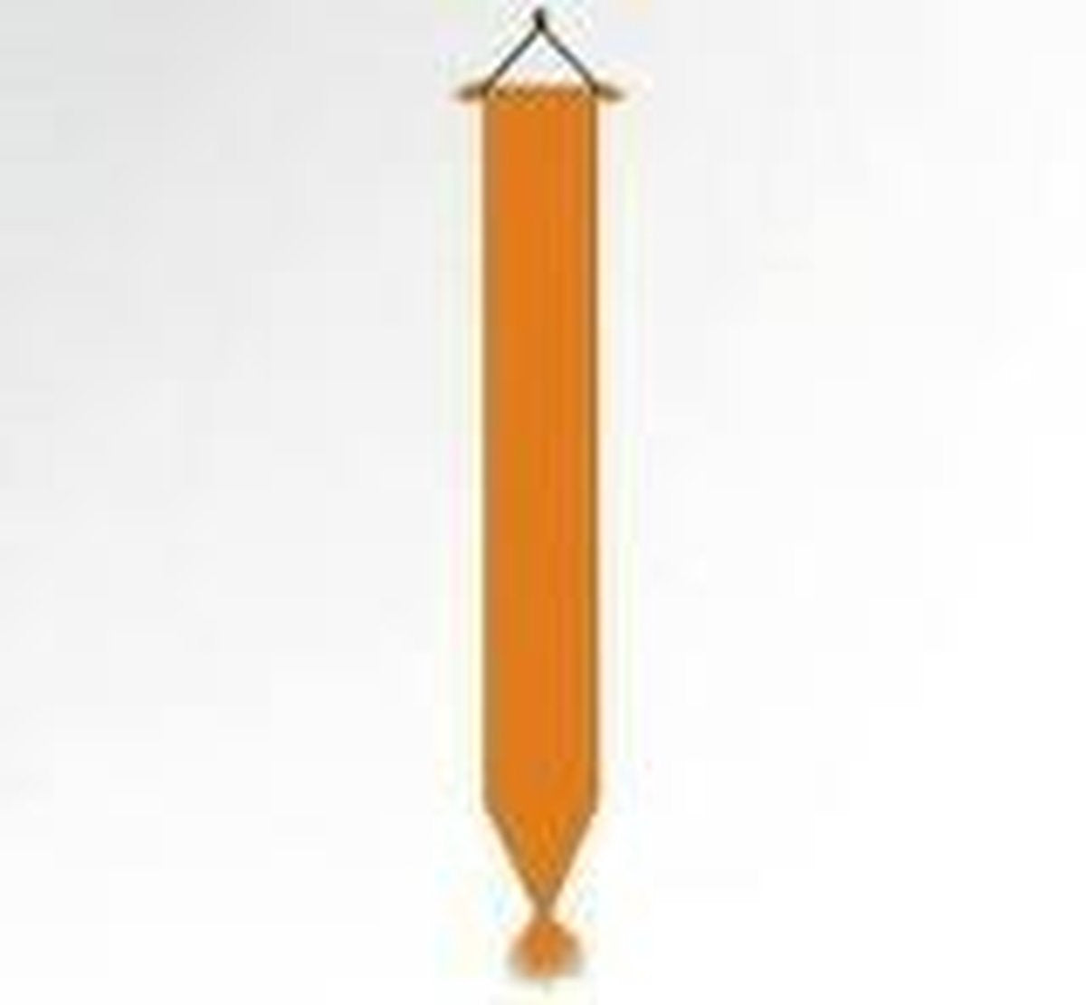 Oranje wimpel 30x450cm met kwast