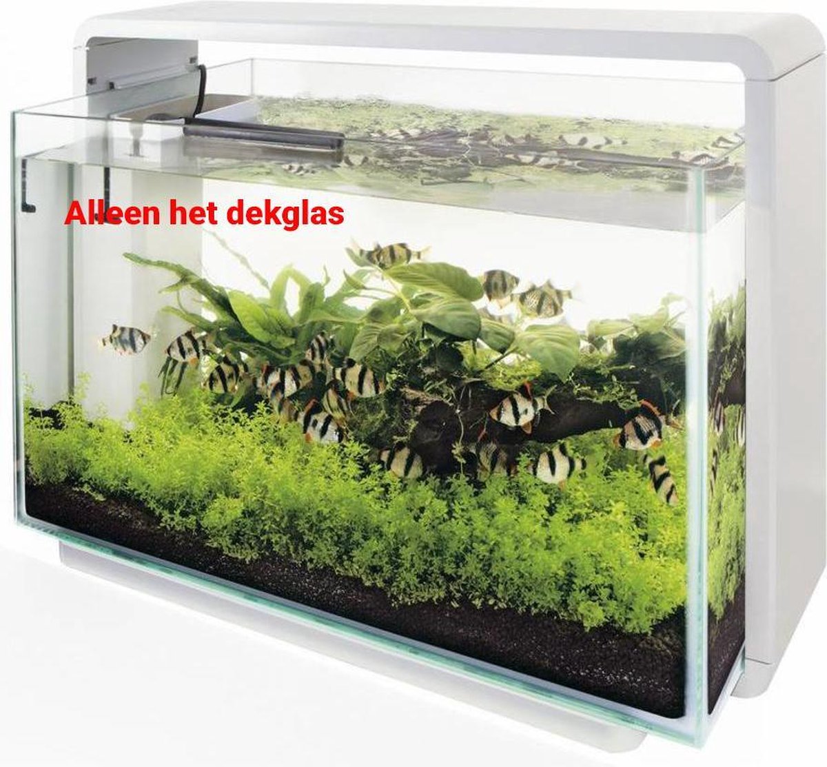 Reserve glazen dekruit voor de aquarium Home 60