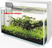 Reserve glazen dekruit voor de aquarium Home 60