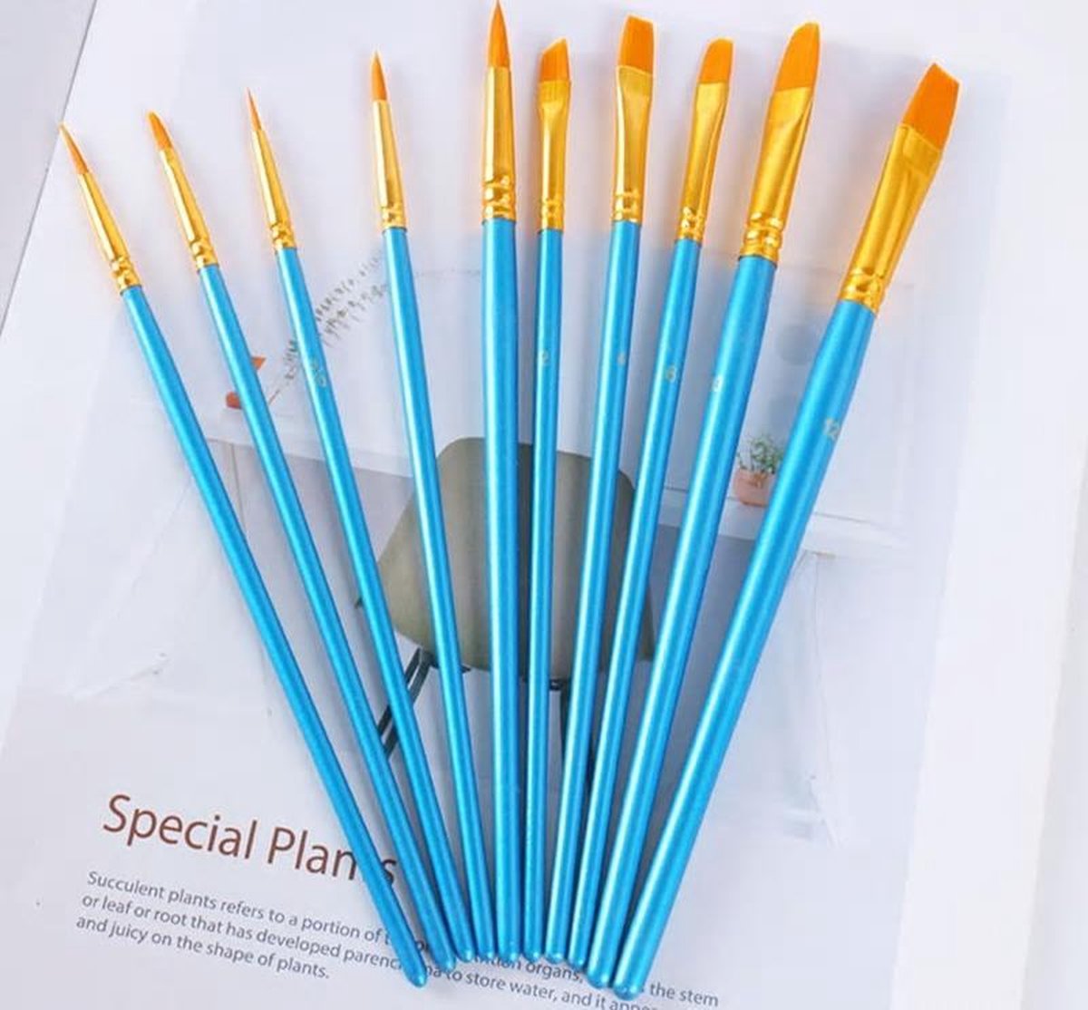 Schilderen op nummer Precisie kwasten set Deluxe (10 stuks)