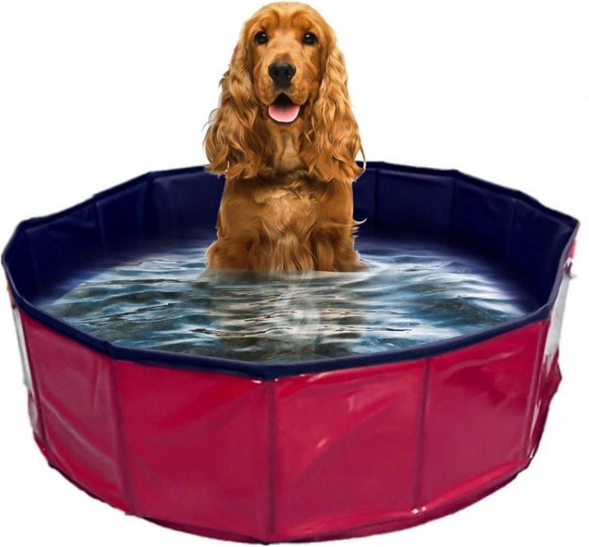 WorldPet Hondenzwembad - Rood/Blauw - 30 x 30 x 10cm