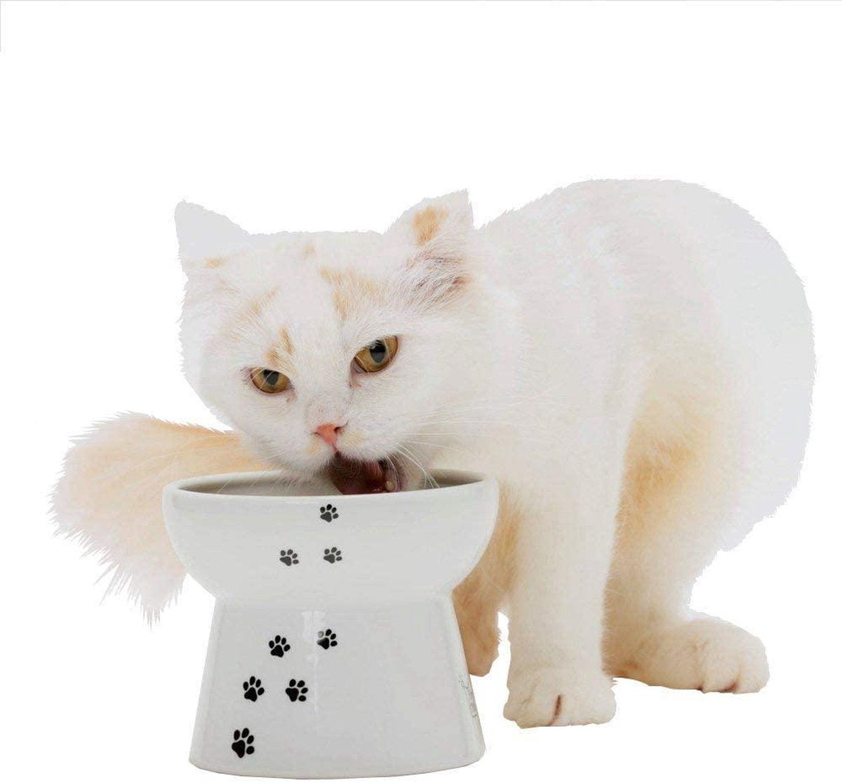 NECOICHI Verhoogde grote kattenvoerbak - Ergonomisch