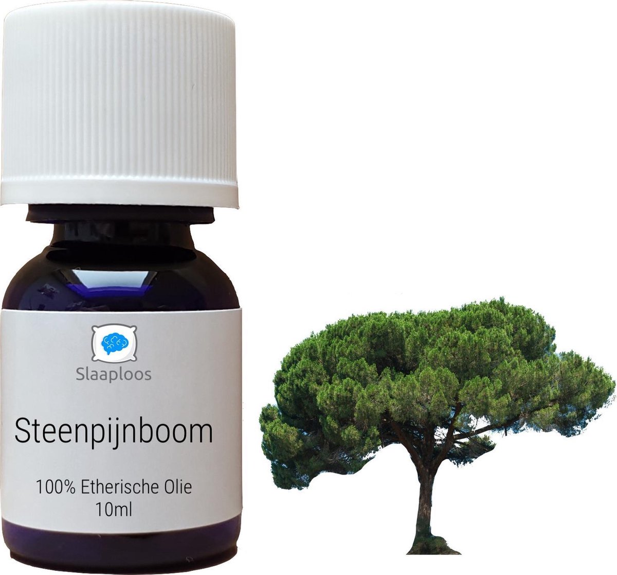 Pijnboom Etherische Olie - 100% Pure Pijnboomolie