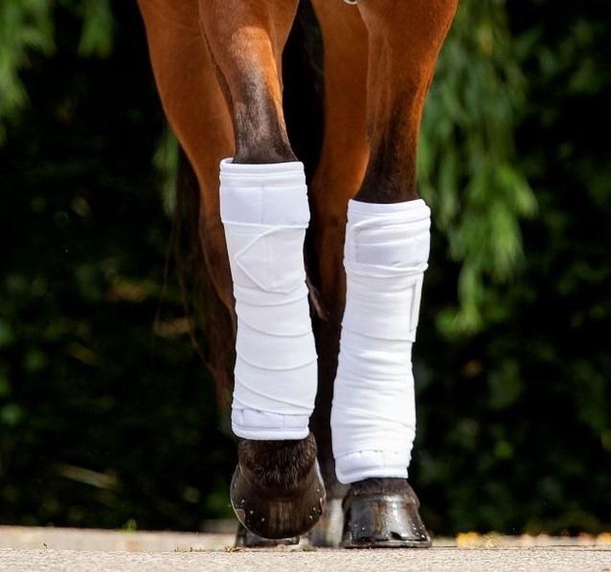 HB Showtime Set Bandages