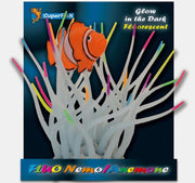 SF fluo nemo anemone
