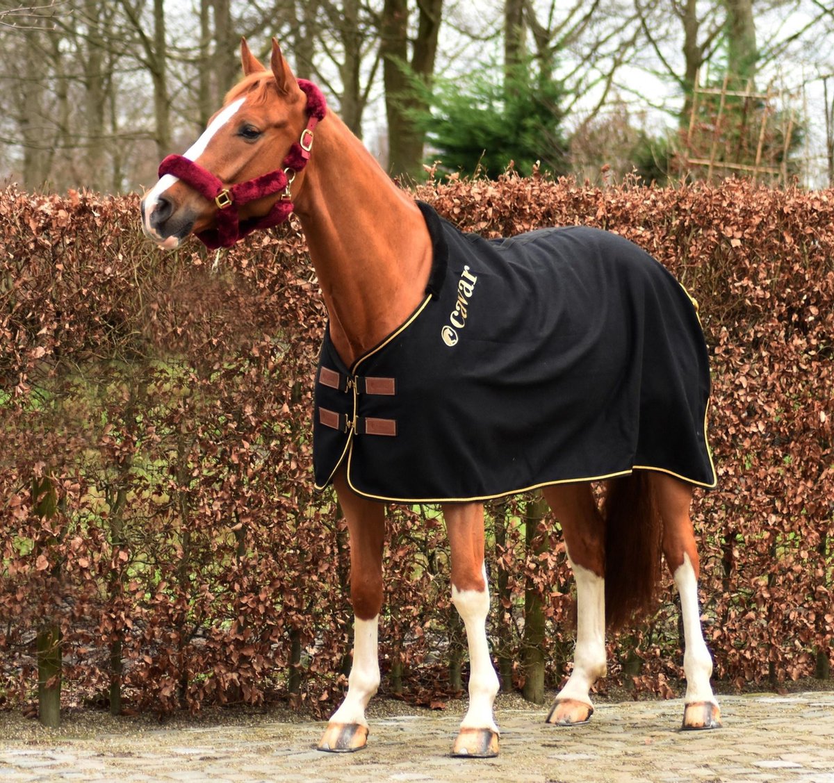 Cavar Wollen Deken 400 gram Zwart 195cm