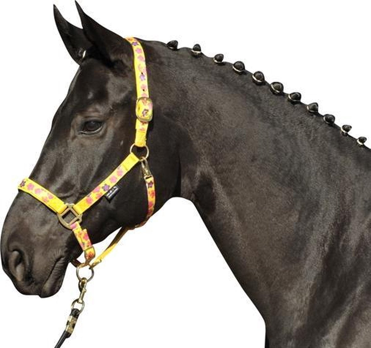 HKM Halster -Magic- bloem Shetland pony