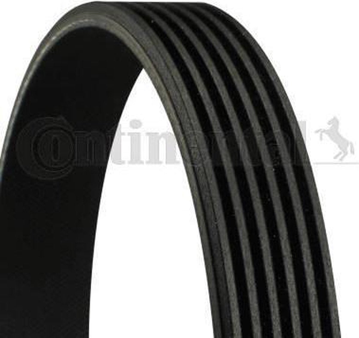 CONTITECH Distributieriem 6PK1145