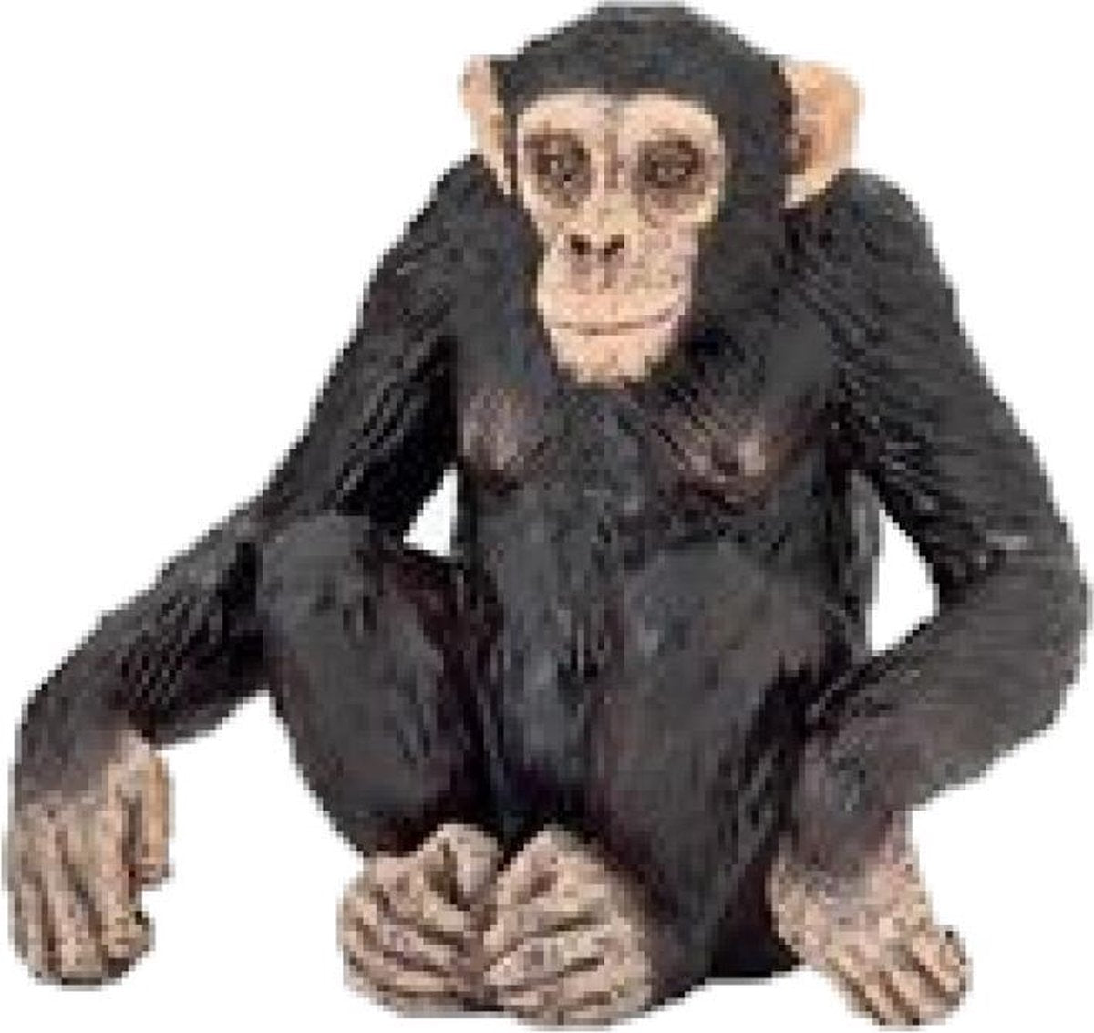 Papo De Chimpansee