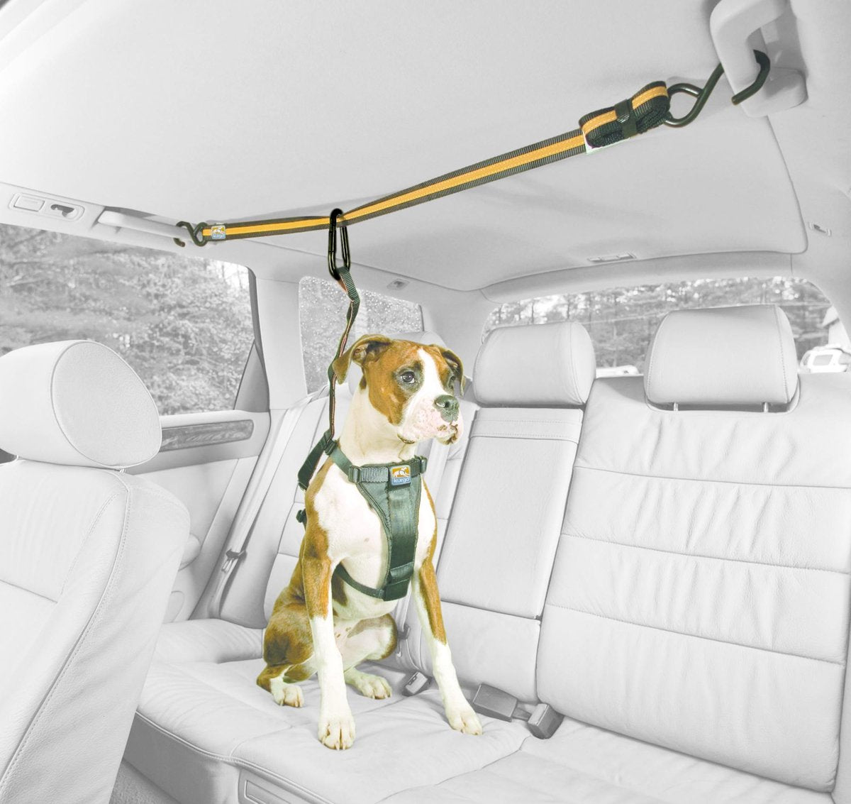 Kurgo - Auto Zip Line For Dogs - Black/Orange