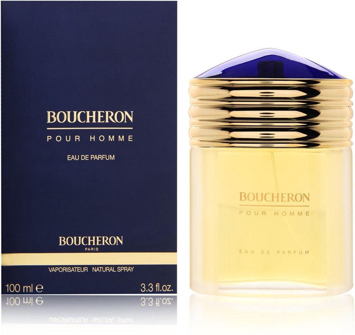 Boucheron Boucheron Eau De Parfum Spray 100 Ml For Men