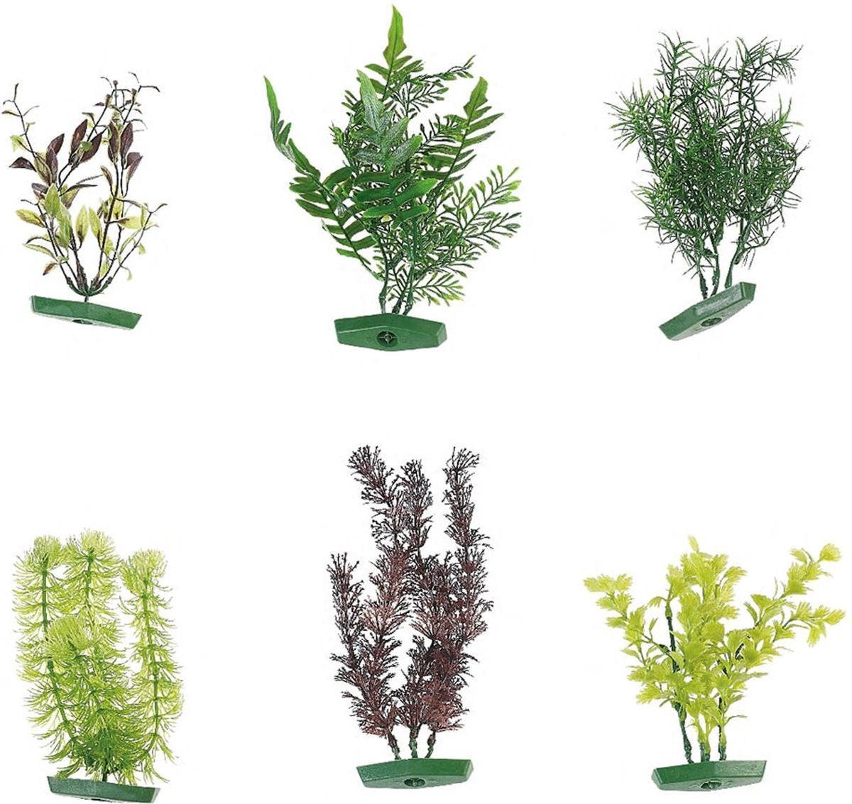 Aquarium plant - +/- 20 cm