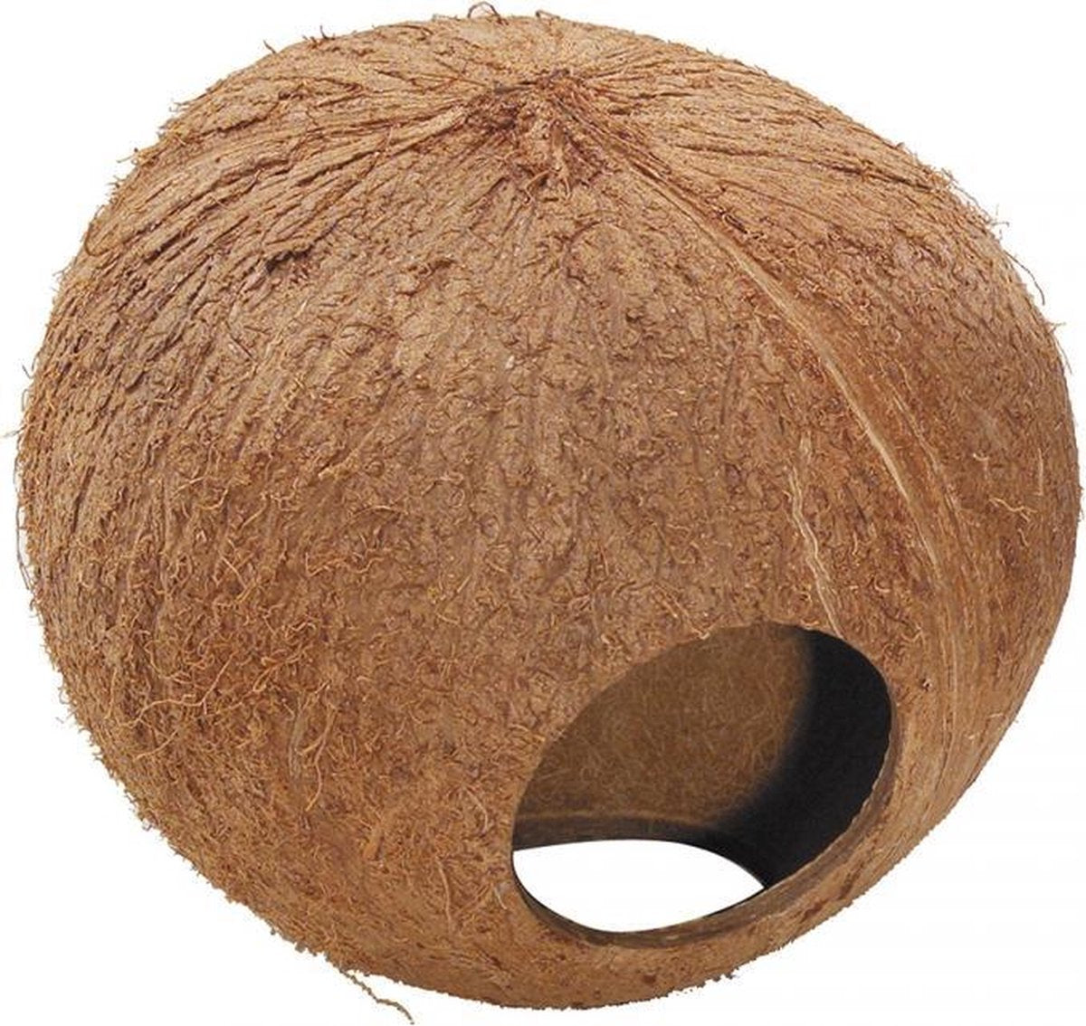 Ebi Coconut globehouse 130MM