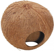 Ebi Coconut globehouse 130MM