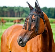 Horze Vliegnetje met capuchon-Zwart-Full