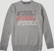 ONeill Trui All Year Crew - Grey - 164