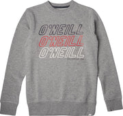 ONeill Trui All Year Crew - Grey - 116